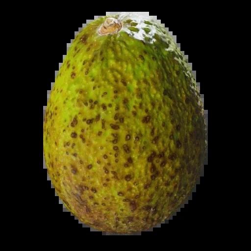 3D Avocado 001