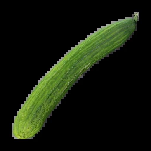 3D Cucumber 001