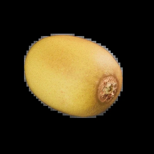 3D Kiwi 001