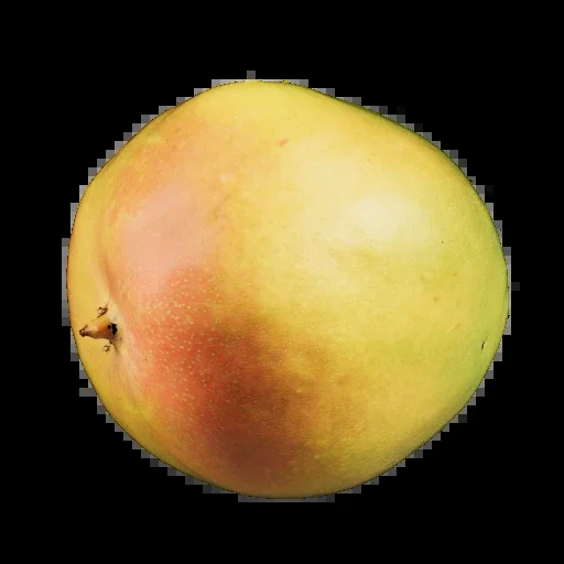 3D Mango 001