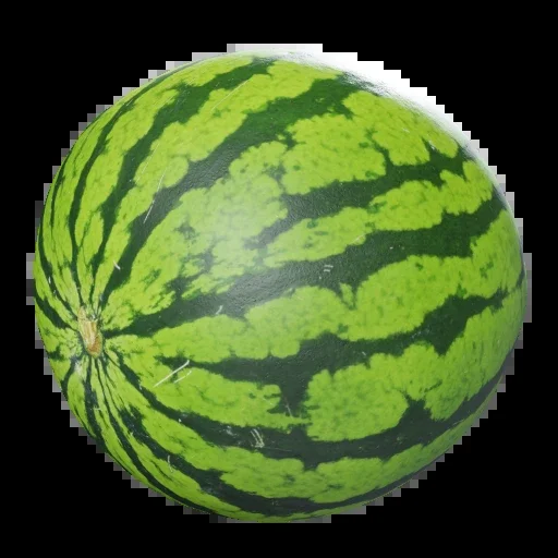 3D Melon 001