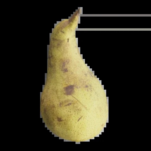 3D Pear 002