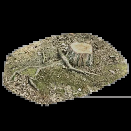 3D Tree Stump 001