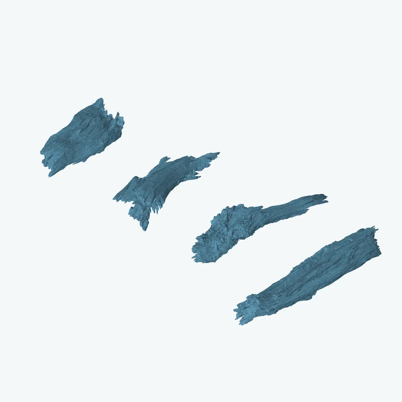 بقايا لحاء 01