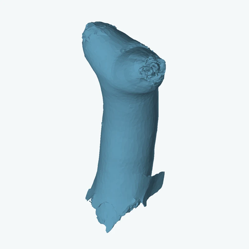 فرع جعبة ميت 02