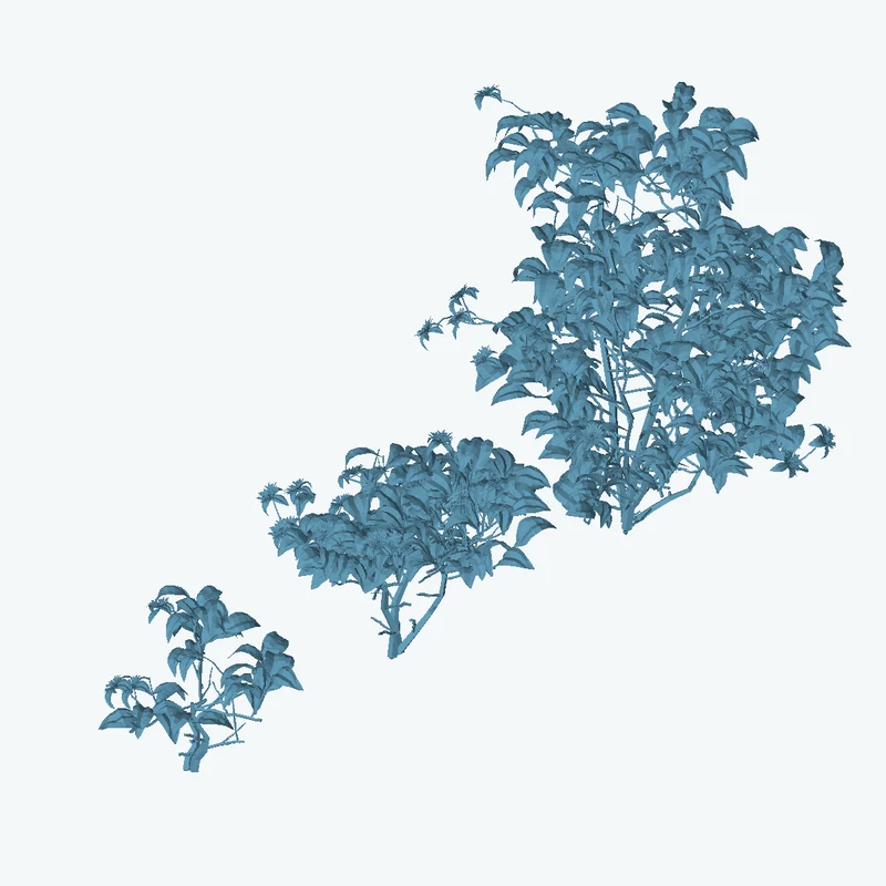Didelta Spinosa