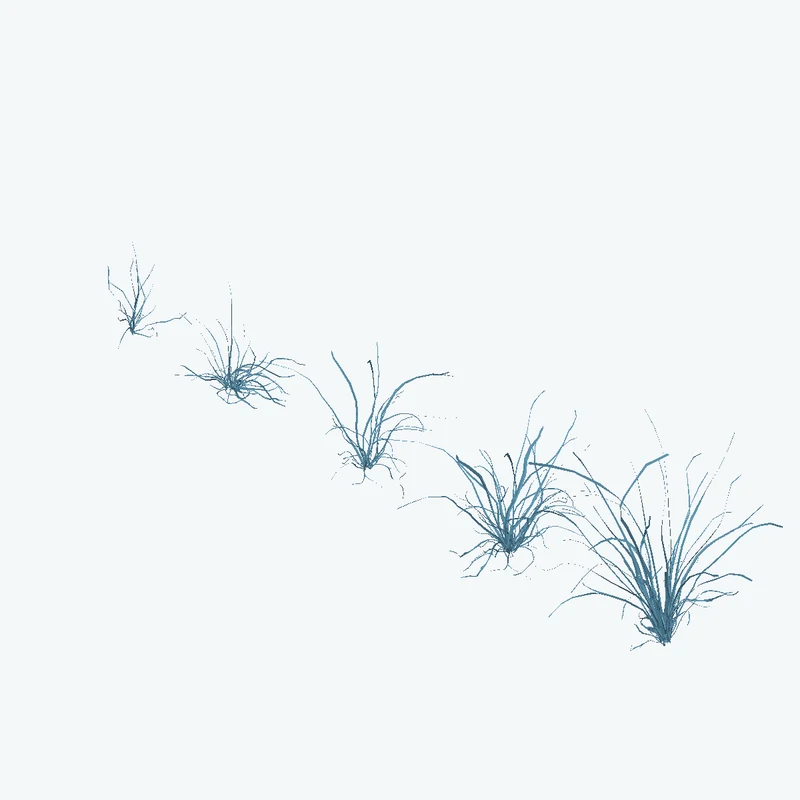 Grass Medium 02