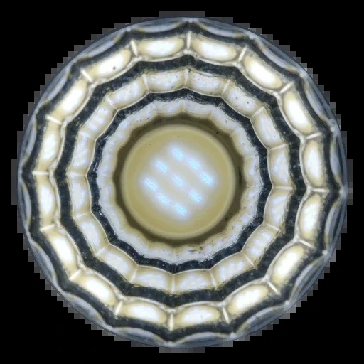 HDRI Element 001