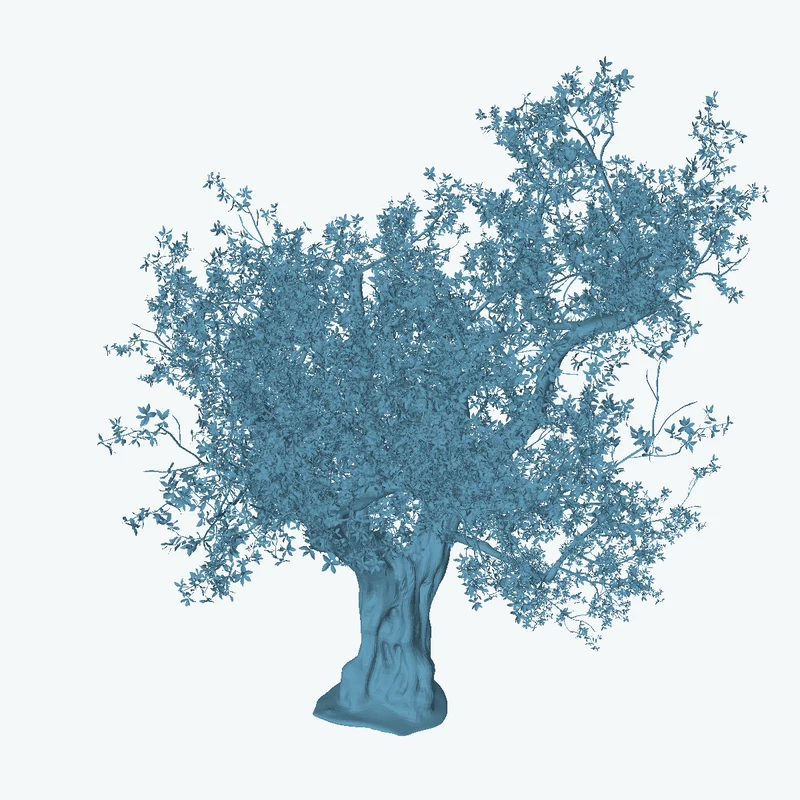 Island Tree 01