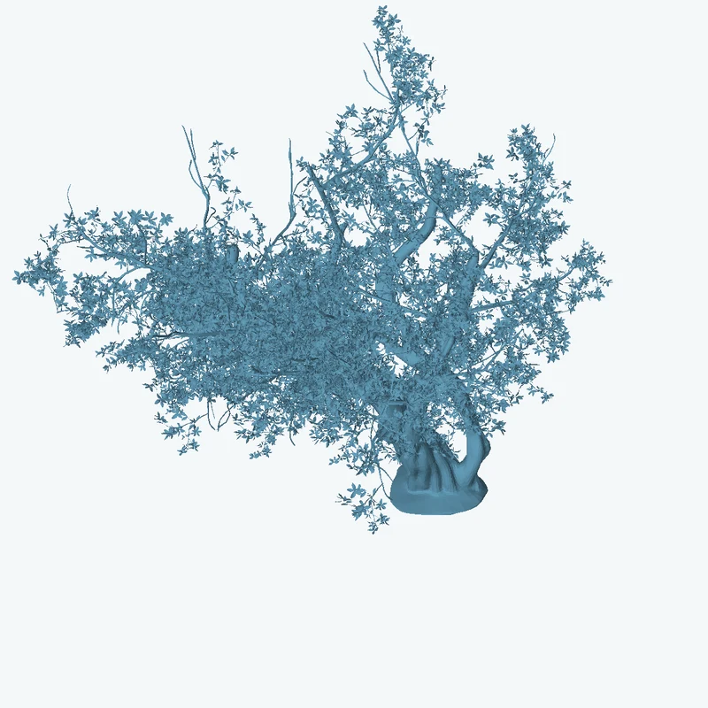Island Tree 02