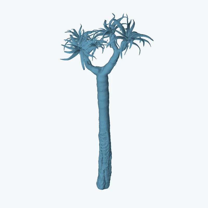 Quiver Tree 01