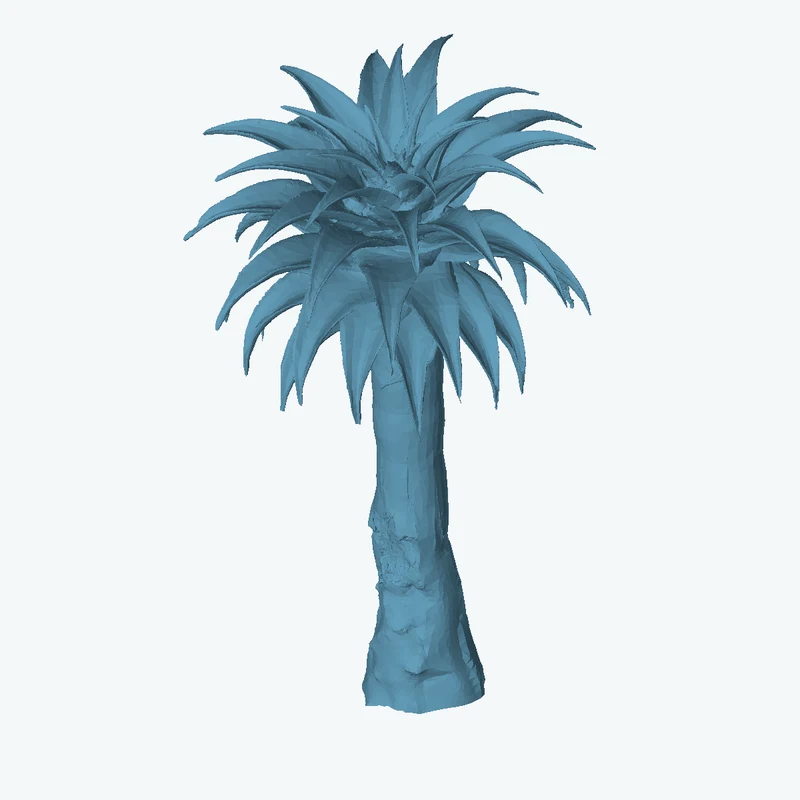 Quiver Tree 02