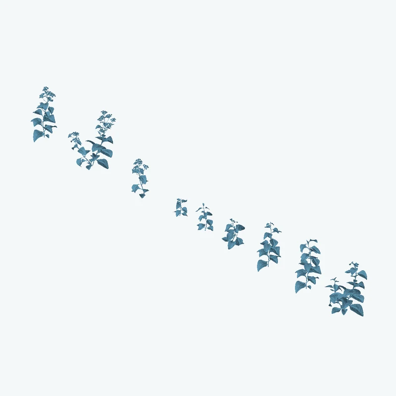 Shrub 01
