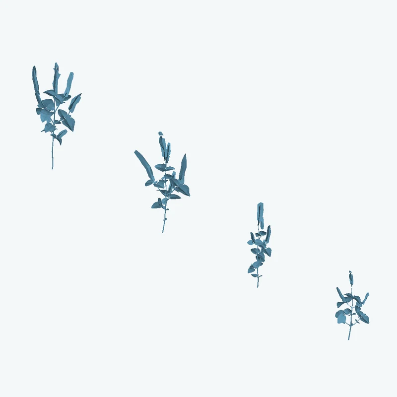 Shrub 03