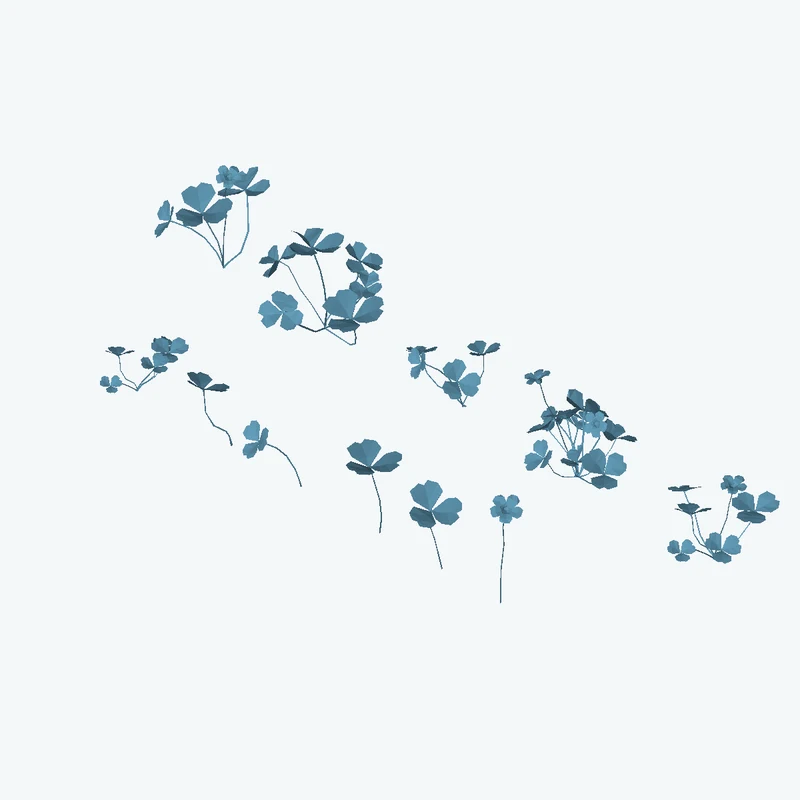 Shrub Sorrel 01