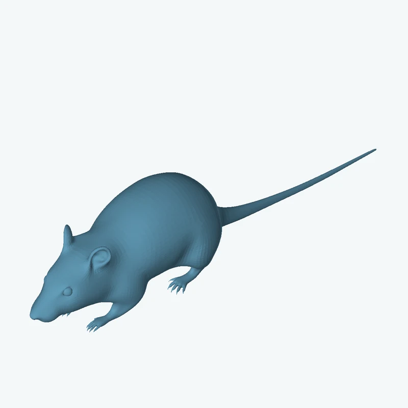 Street Rat