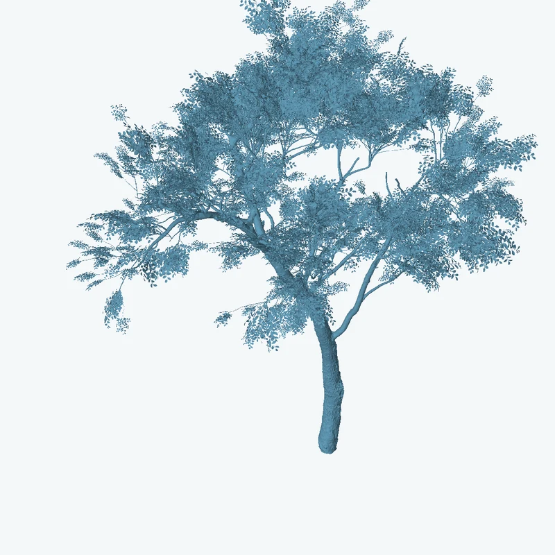 Tree Small 02
