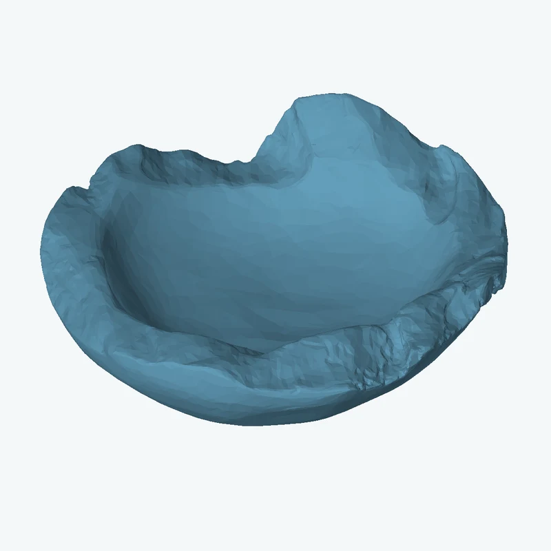 Wooden Bowl 01